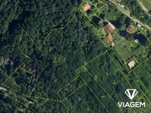 Prodej lesa, Veverská Bítýška, 8999 m2