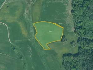 Prodej louky, Cerhonice, 41957 m2