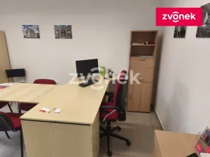 Pronájem komerční nemovitosti, Bystřice pod Hostýnem, 45 m2