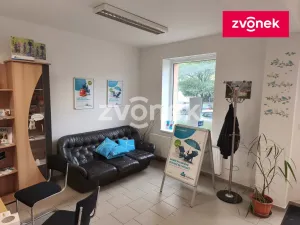 Pronájem komerční nemovitosti, Bystřice pod Hostýnem, 45 m2