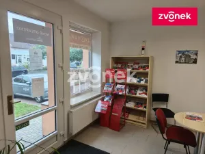 Pronájem komerční nemovitosti, Bystřice pod Hostýnem, Čs. brigády, 45 m2