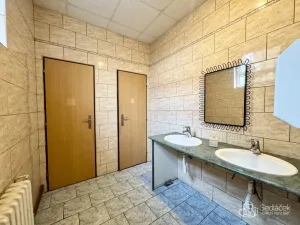 Pronájem obchodního prostoru, Sokolov, Gagarinova, 166 m2