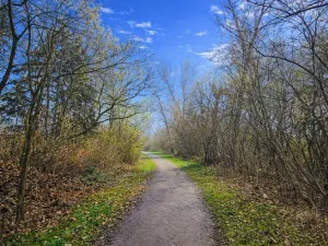 Prodej pozemku, 9079 m2