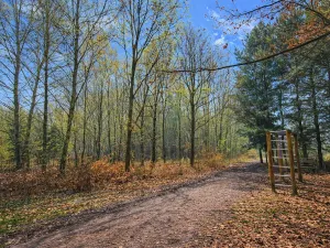 Prodej pozemku, 9079 m2