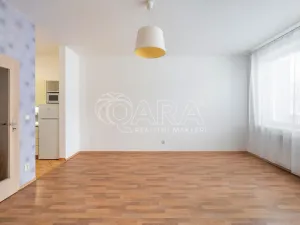 Pronájem bytu 1+kk, Brno - Štýřice, Vídeňská, 38 m2