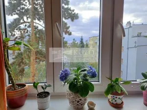 Pronájem bytu 2+kk, Praha - Nusle, U družstva Život, 60 m2