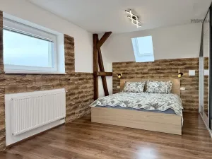 Pronájem bytu 2+kk, Brno, Mahenova, 50 m2