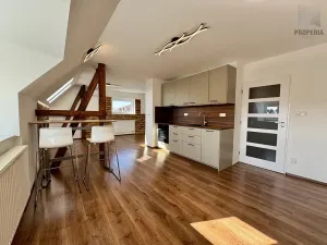 Pronájem bytu 2+kk, Brno, Mahenova, 50 m2