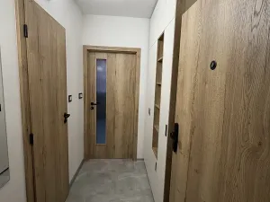 Pronájem bytu 1+kk, Čáslav, R. Těsnohlídka, 33 m2