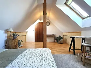 Prodej bytu 5+kk, Písek, Budějovická, 182 m2