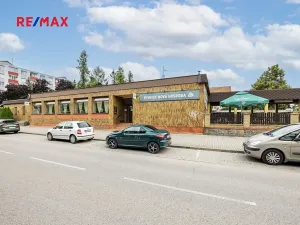 Prodej obchodního prostoru, Čelákovice, Rumunská, 794 m2