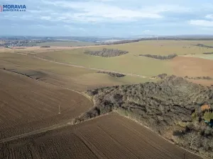 Prodej pole, Biskupice-Pulkov, 15670 m2