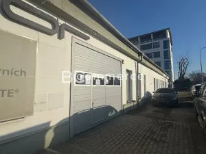 Pronájem skladu, Brno, Dornych, 226 m2