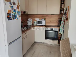 Pronájem bytu 2+kk, České Budějovice - České Budějovice 2, Volejbalistů, 44 m2