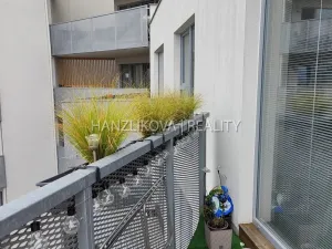 Pronájem bytu 2+kk, České Budějovice - České Budějovice 2, Volejbalistů, 44 m2