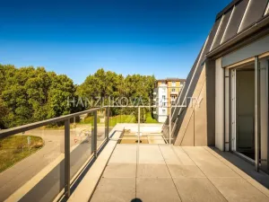 Pronájem bytu 3+kk, České Budějovice - České Budějovice 2, Branišovská, 80 m2