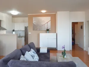 Pronájem bytu 2+kk, Olomouc - Nová Ulice, Okružní, 61 m2