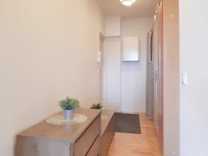Pronájem bytu 2+kk, Olomouc - Nová Ulice, Okružní, 61 m2