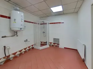 Pronájem obchodního prostoru, Jihlava, Dělnická, 860 m2