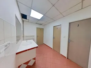 Pronájem obchodního prostoru, Jihlava, Dělnická, 200 m2