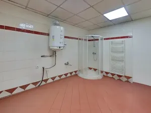 Pronájem obchodního prostoru, Jihlava, Dělnická, 200 m2
