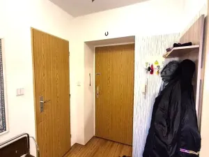 Prodej bytu 1+1, Dobříš, Březová, 31 m2