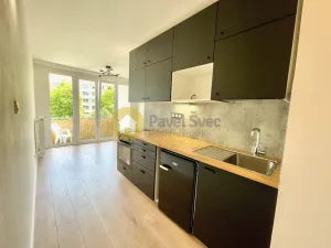 Pronájem bytu 1+kk, Strakonice - Přední Ptákovice, Šumavská, 24 m2