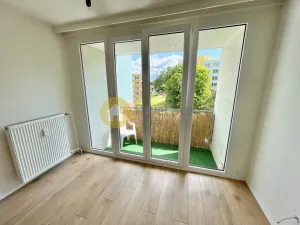 Pronájem bytu 1+kk, Strakonice - Přední Ptákovice, Šumavská, 24 m2