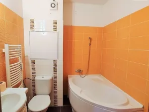 Pronájem bytu 2+kk, Plzeň - Východní Předměstí, Květná, 47 m2