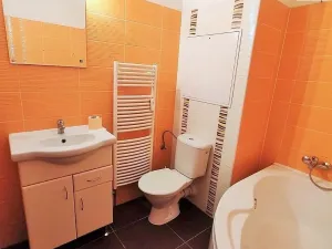 Pronájem bytu 2+kk, Plzeň - Východní Předměstí, Květná, 47 m2