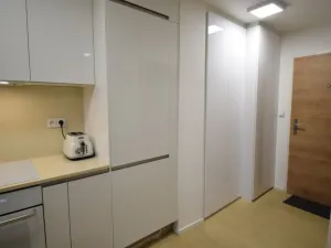 Pronájem bytu 2+kk, Brno, Horova, 36 m2