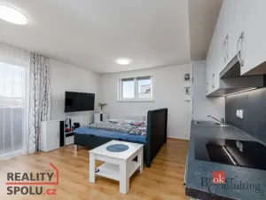 Pronájem bytu 1+kk, Heřmanova Huť - Vlkýš, U Pondu, 40 m2