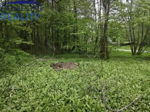 Prodej pozemku pro bydlení, Jiříkov, 637 m2