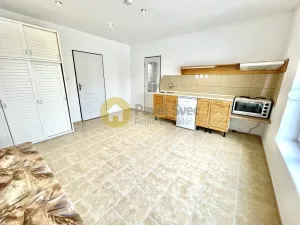 Pronájem bytu 1+kk, Strakonice - Přední Ptákovice, Hraniční, 22 m2