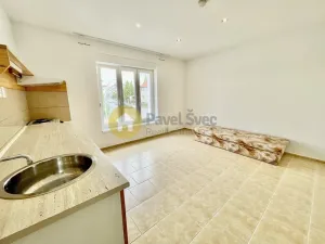 Pronájem bytu 1+kk, Strakonice - Přední Ptákovice, Hraniční, 22 m2