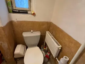 Prodej rodinného domu, Bělušice - Bedřichův Světec, 219 m2