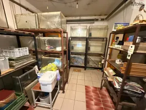 Prodej rodinného domu, Bělušice - Bedřichův Světec, 219 m2