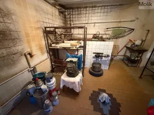 Prodej rodinného domu, Bělušice - Bedřichův Světec, 219 m2