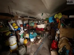 Prodej rodinného domu, Bělušice - Bedřichův Světec, 219 m2