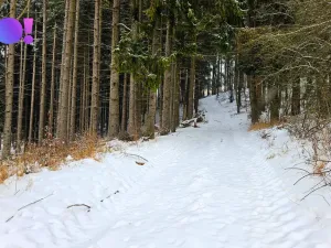 Prodej pozemku, Liptál, 17190 m2