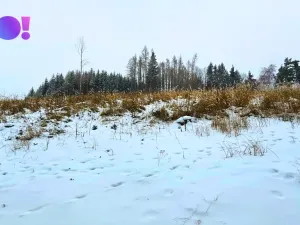 Prodej pozemku, Liptál, 17190 m2