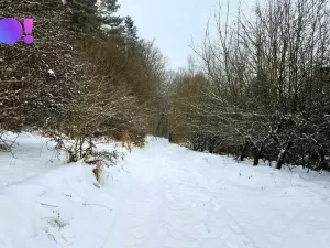 Prodej pozemku, Liptál, 17190 m2