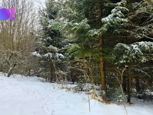 Prodej pozemku, Liptál, 17190 m2