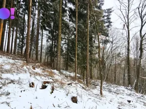 Prodej pozemku, Liptál, 17190 m2