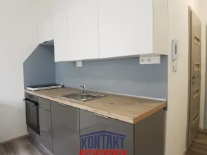 Pronájem bytu 1+kk, České Budějovice - České Budějovice 3, Plzeňská, 21 m2