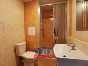 Pronájem bytu 1+kk, České Budějovice - České Budějovice 3, Plzeňská, 21 m2