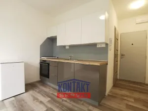 Pronájem bytu 1+kk, České Budějovice - České Budějovice 3, Plzeňská, 21 m2