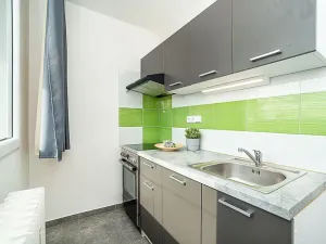 Pronájem bytu 1+kk, Kralupy nad Vltavou, Krakovská, 27 m2