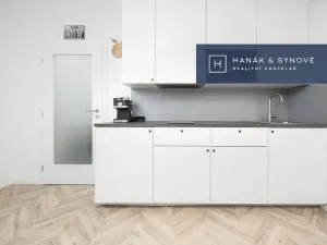 Pronájem bytu 1+kk, Brno, Cejl, 26 m2