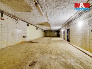 Prodej výrobních prostor, Mariánské Lázně - Úšovice, U Mlékárny, 1870 m2